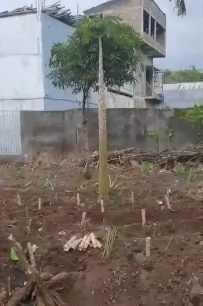 Dijual tanah , Tengah Kota Magelang