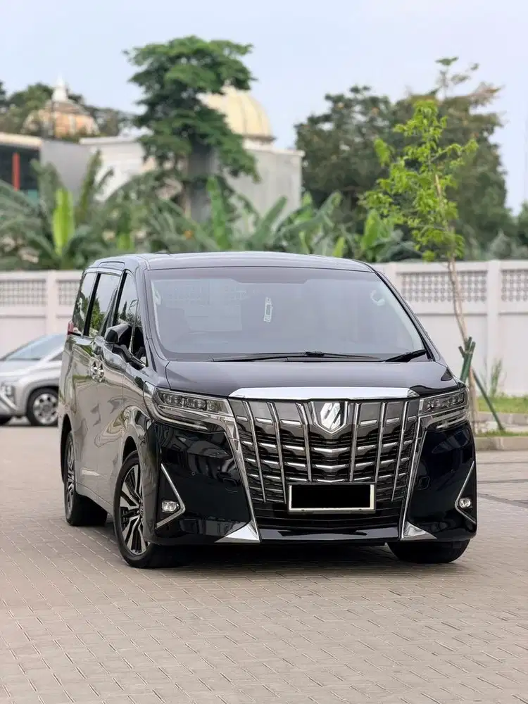 ALPHARD TYPE X (BASIC)