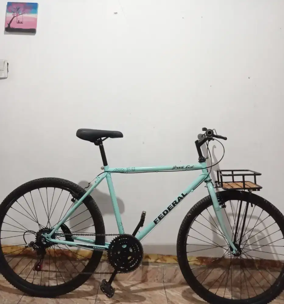 Sepeda federal commuter bike