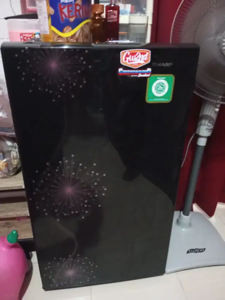 SHARP PINTU KULKAS BEREMBUN