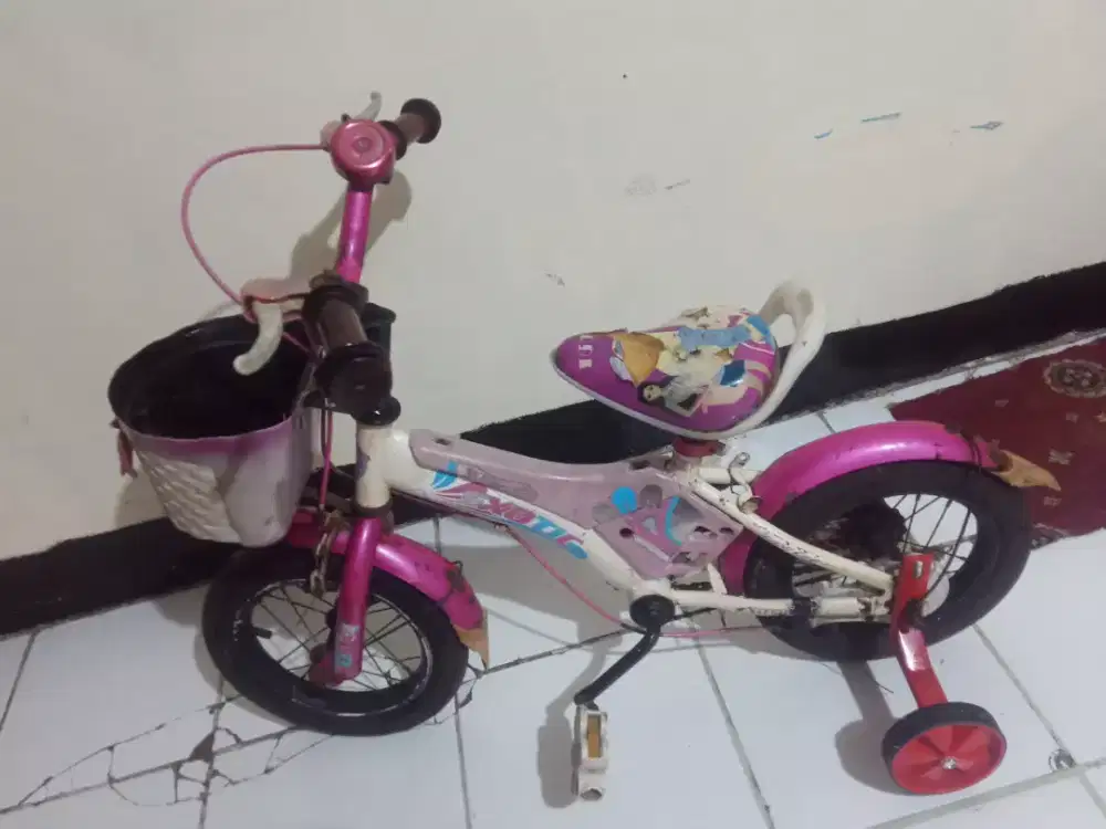 Sepeda anak exotic roda 4 ring 12