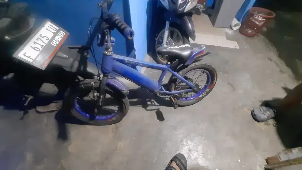 Si jual sepeda anak