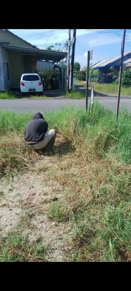 Tukang rumput halaman rumah