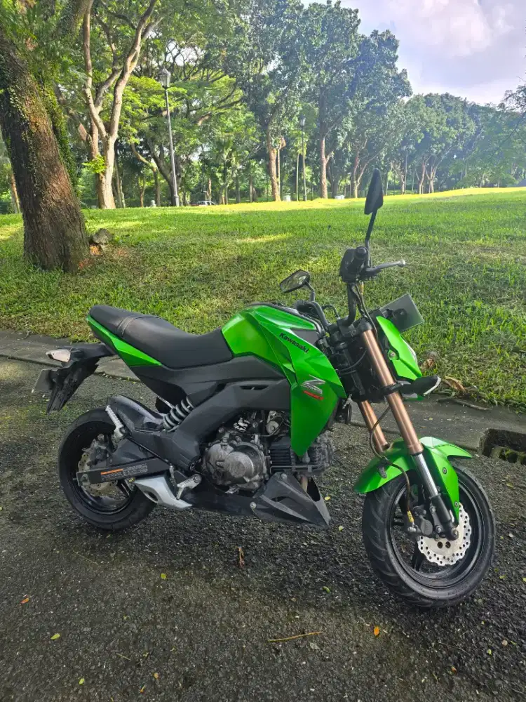 Kawasaki Z125 Pro