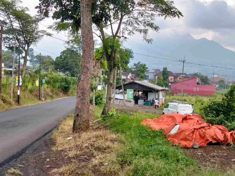 Tanah hunian dan kebun alpukat junrejo kota batu