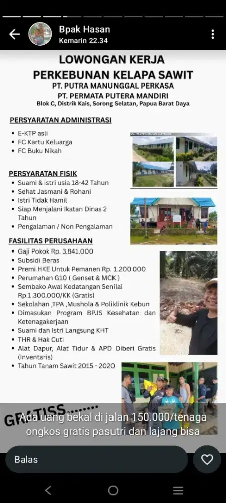 LOKER PANEN KELAPA SAWIT KALIMANTAN