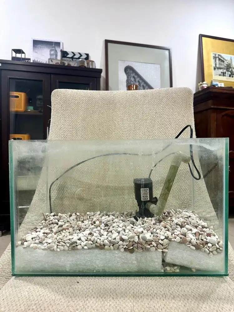 Aquarium 1 set siap pakai