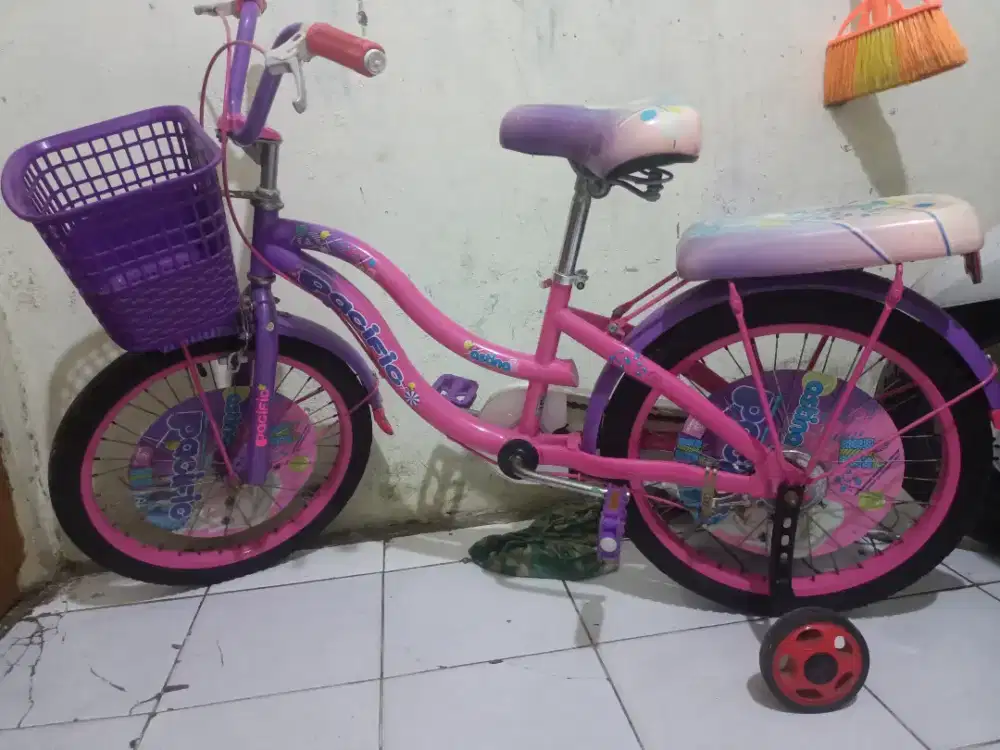 Sepeda Anak Perempuan 20 inch