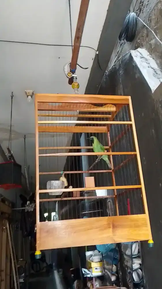 C.I jatim gacor pagi siang malam