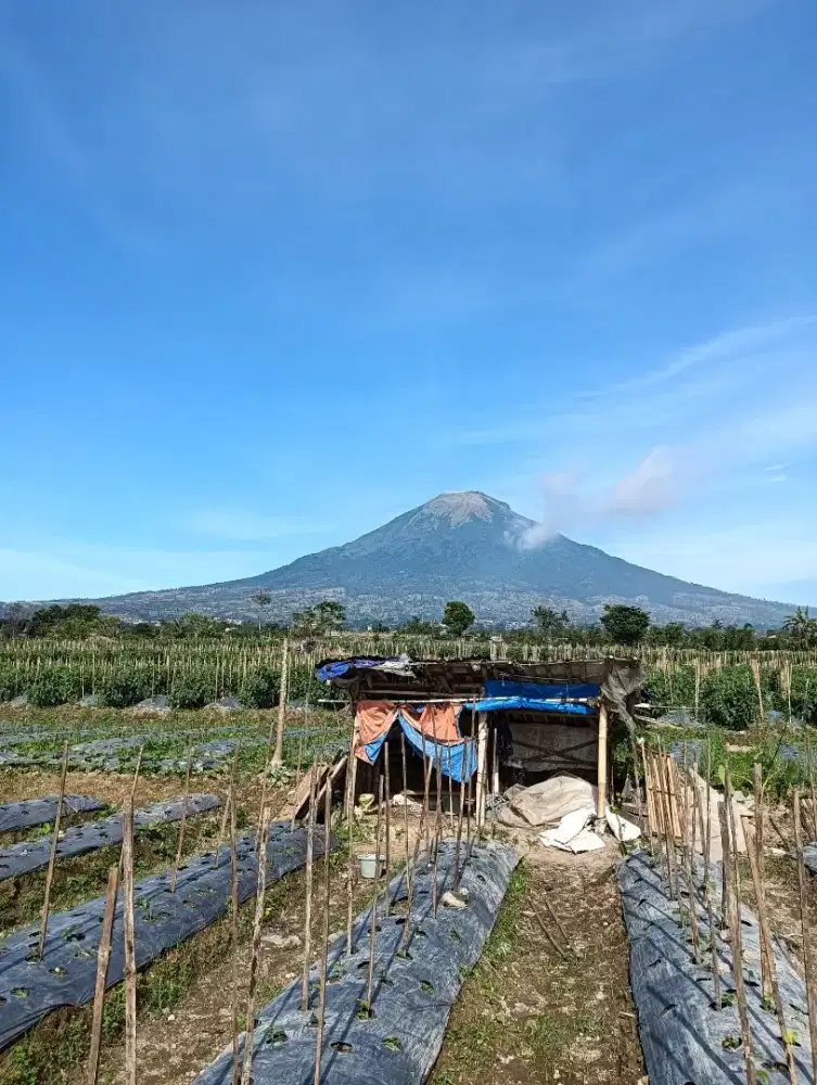 Lowongan kerja serabutan harian