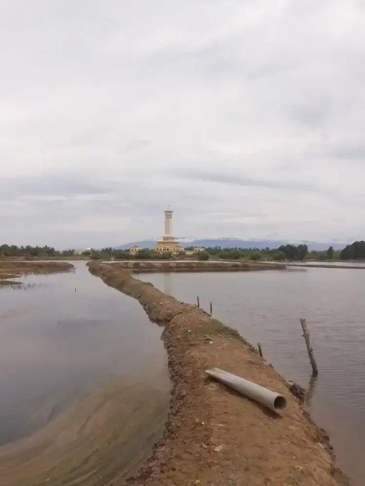 Dijual Tanah Tambak/Kolam Ikan
