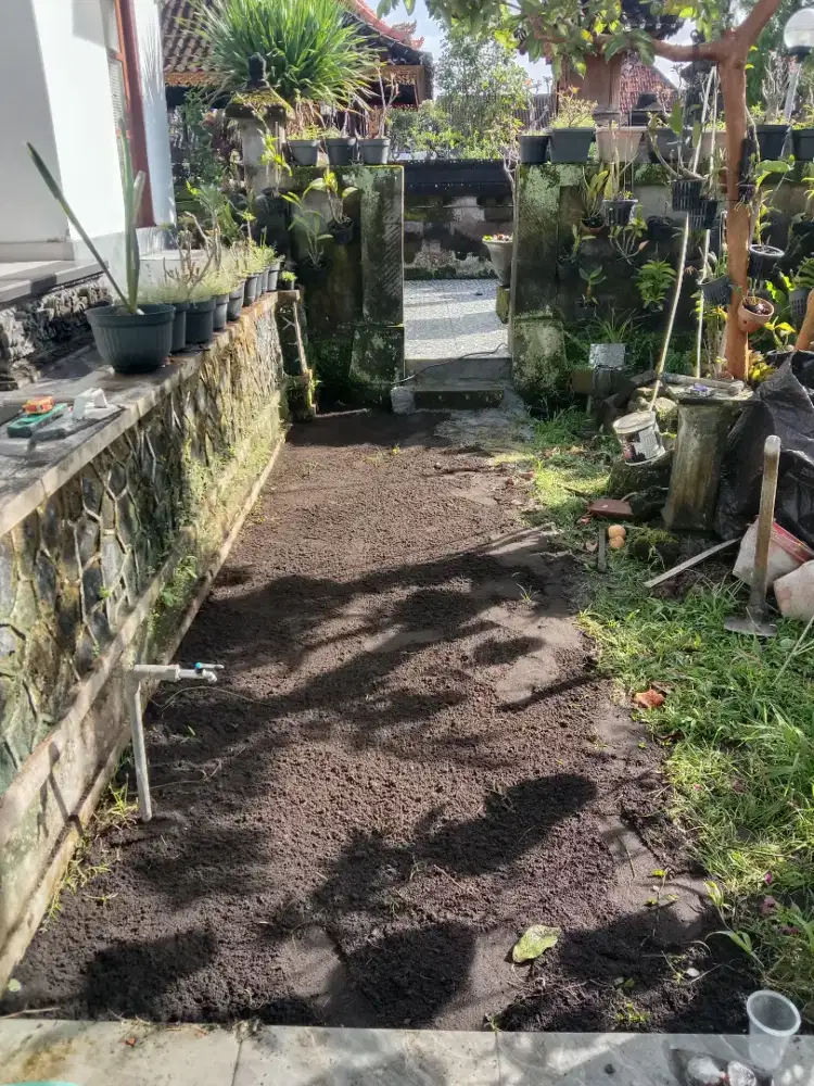 Mlm siapa tawu ada yg  mawu psang krmik