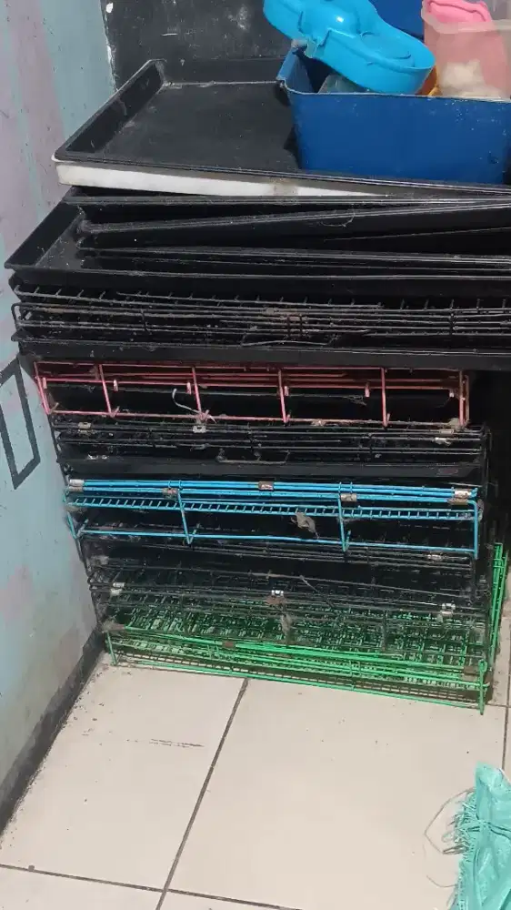 Kandang kucing bekas