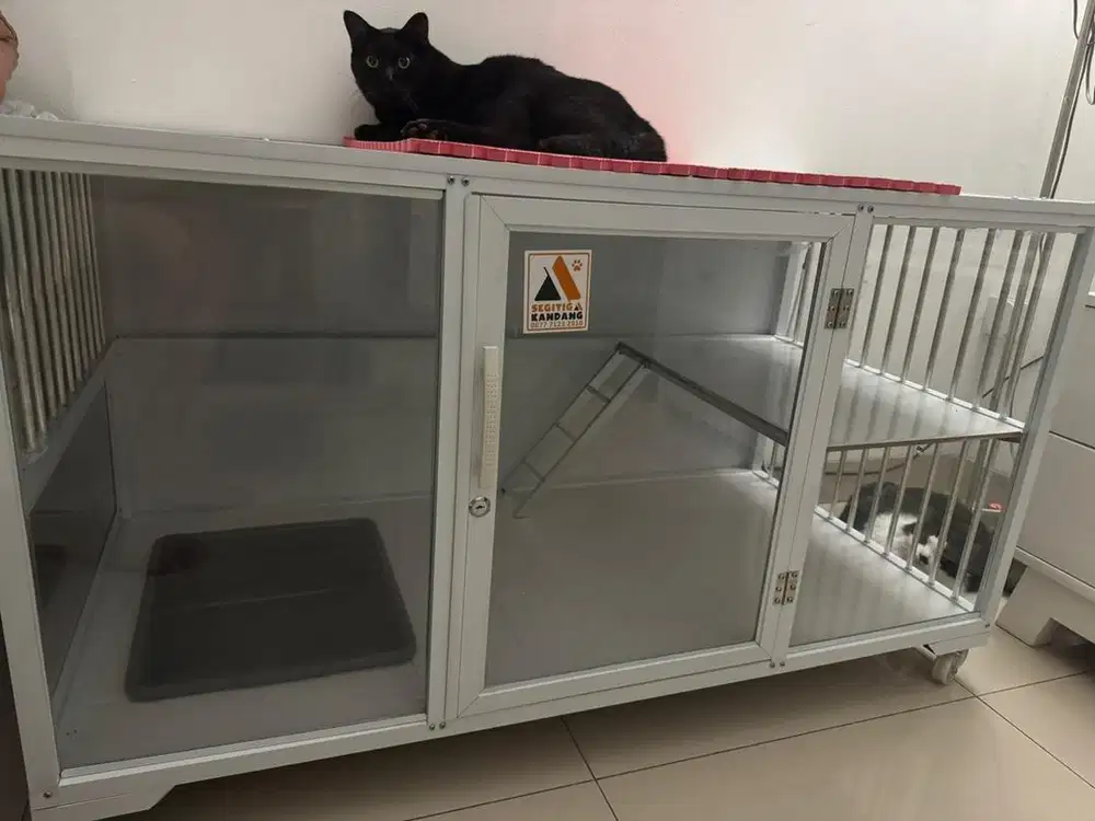 KANDANG ANABUL/ KUCING ATAU ANJING