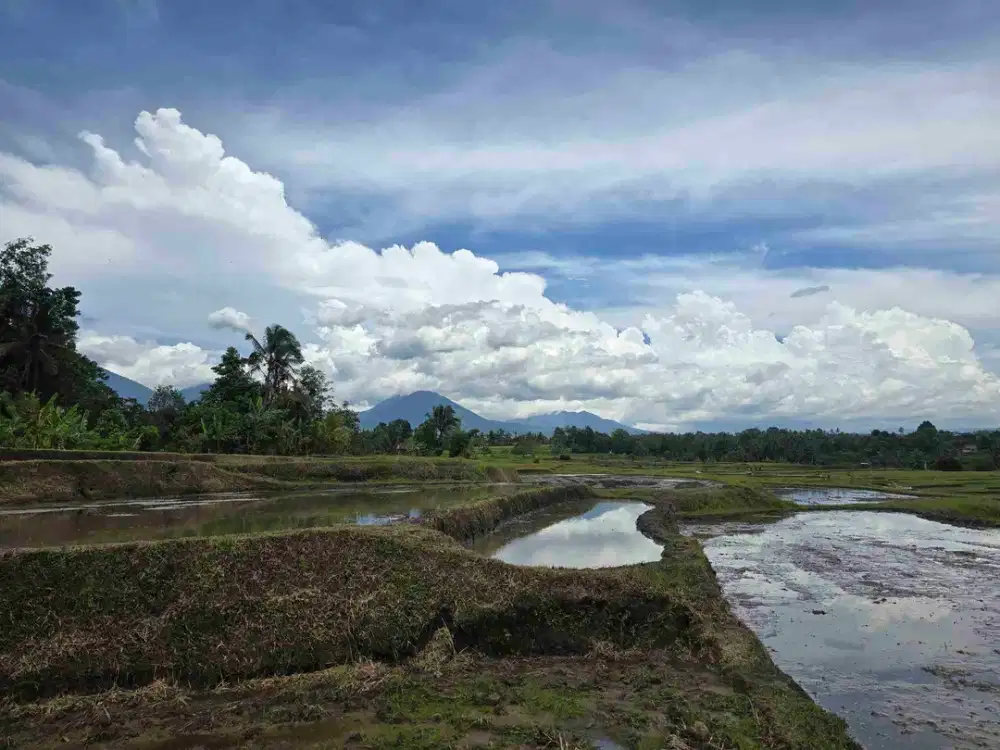 Dijual tanah murah view gunung sawah dan laut di tabanan bali