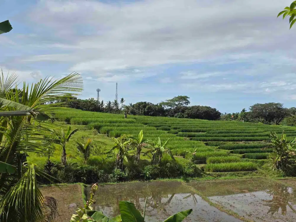 Dijual tanah dekat kota view sawah dan gunung di tabanan bali