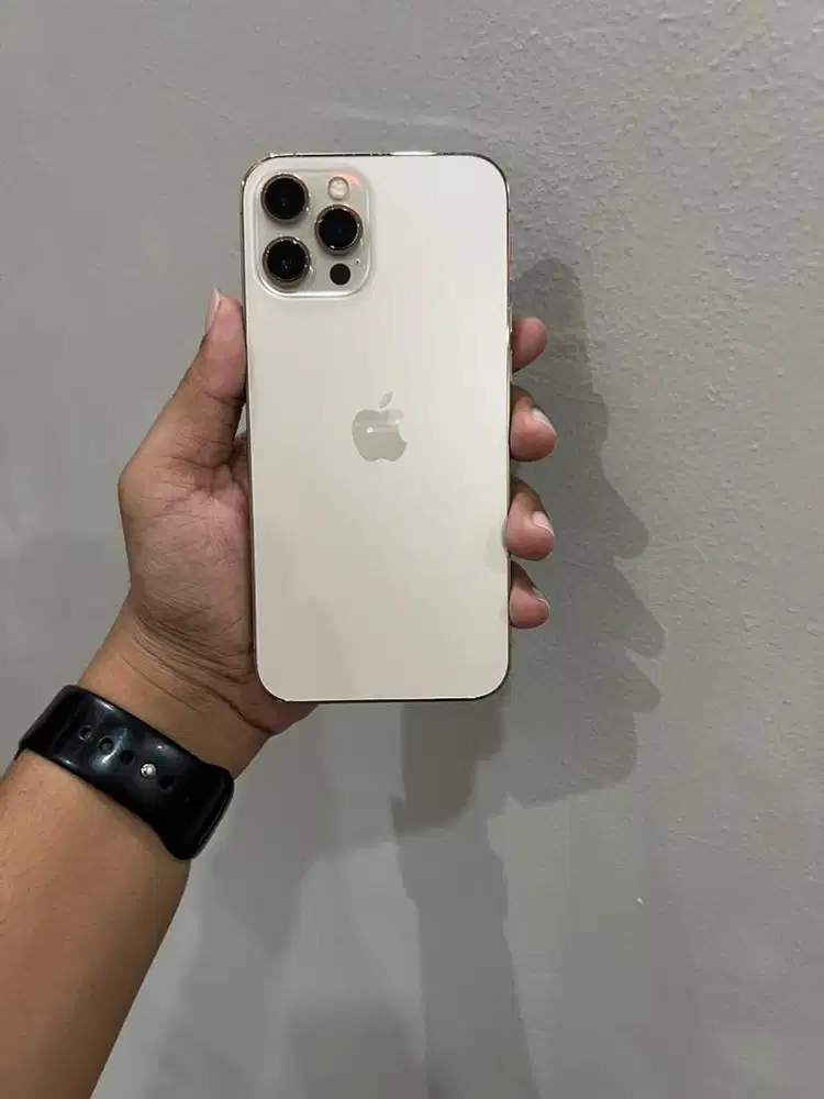 Iphone 12 promax 128gb resmi ibox