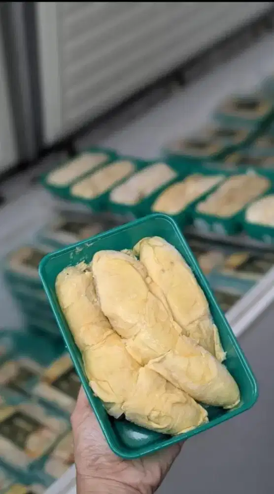 durian kupas medan premium