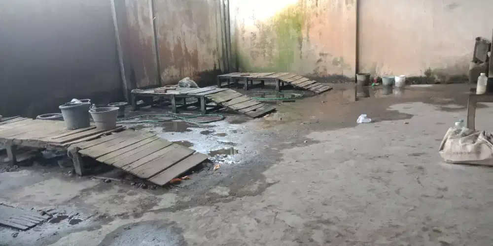 Di butuhkan karyawan cuci motor