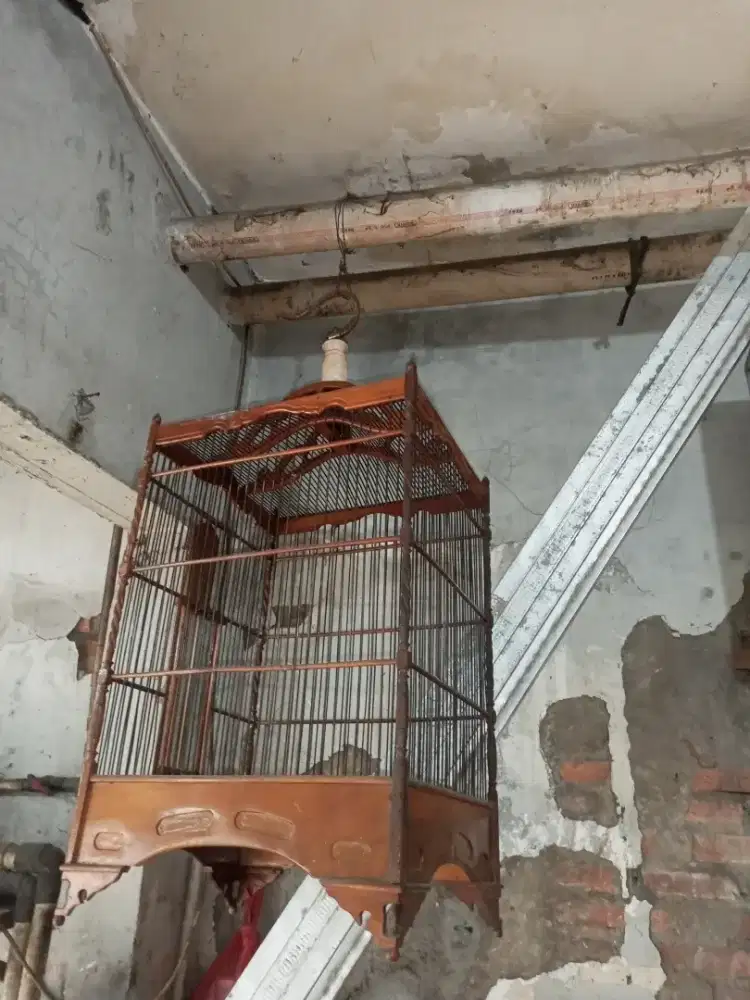 Assalamualaikum ijin lapak om Tante,jual kandang