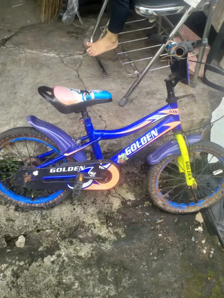 Sepeda anak uk 16 merk golden