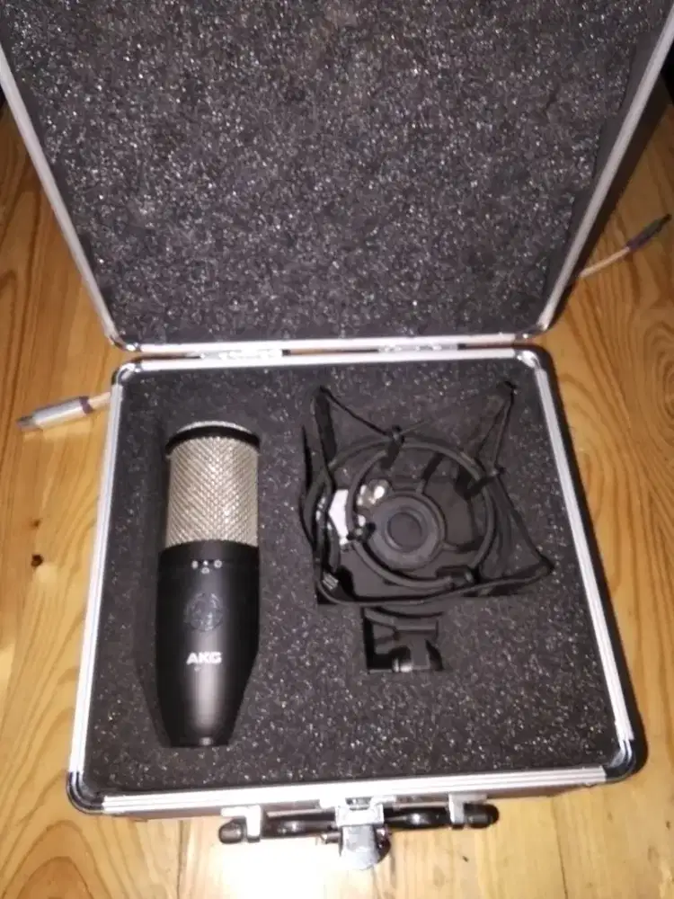 AKG P420
Condenser Microphone
