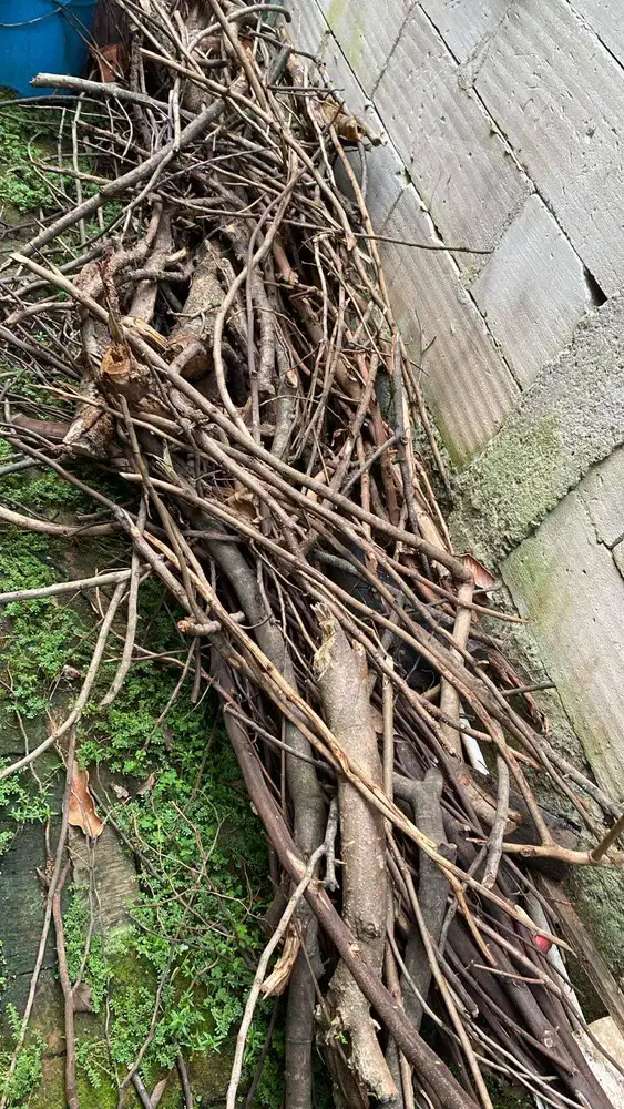 Kayu Bakar untuk Pabrik Tahu / Krupuk. Gratis