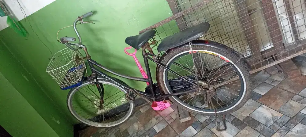 SEPEDA PHOENIX Keranjang depan