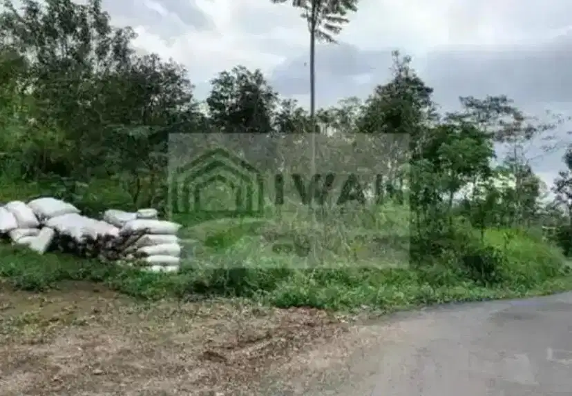 Tanah Kebun Alpukat Murah Iklim Sejuk Hadap Jalan Raya Kabupaten