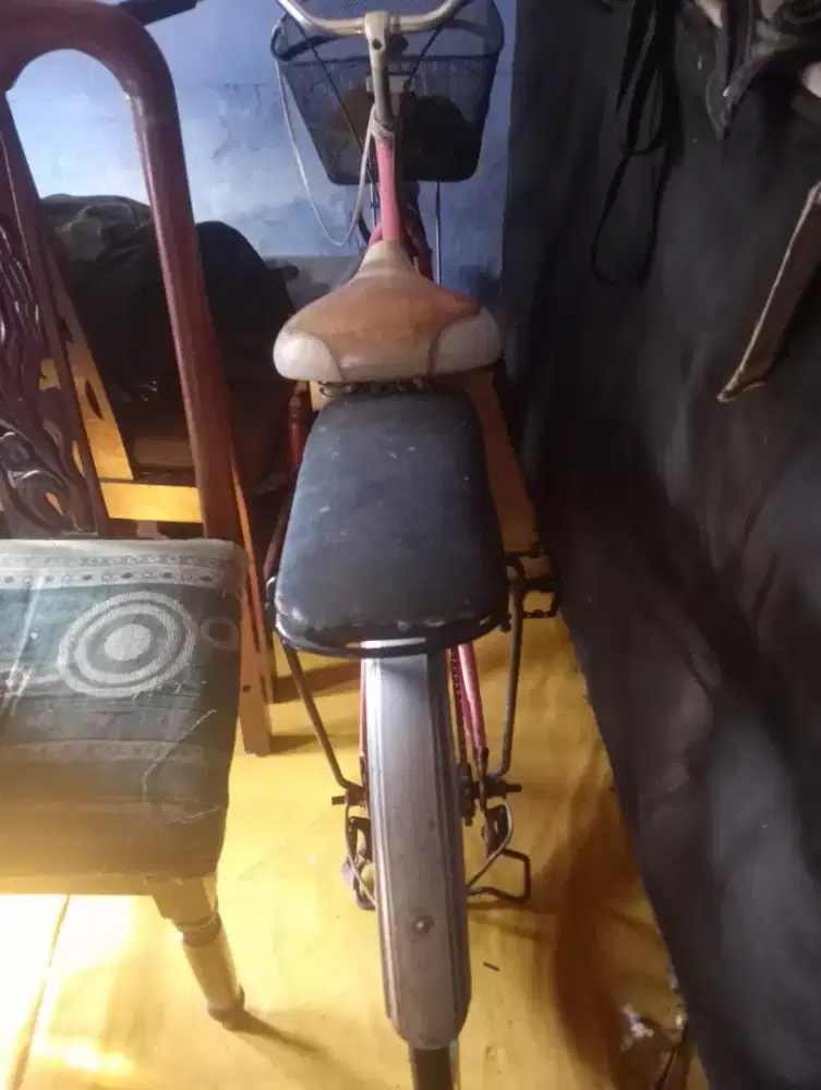 sepeda Polygon warna pink