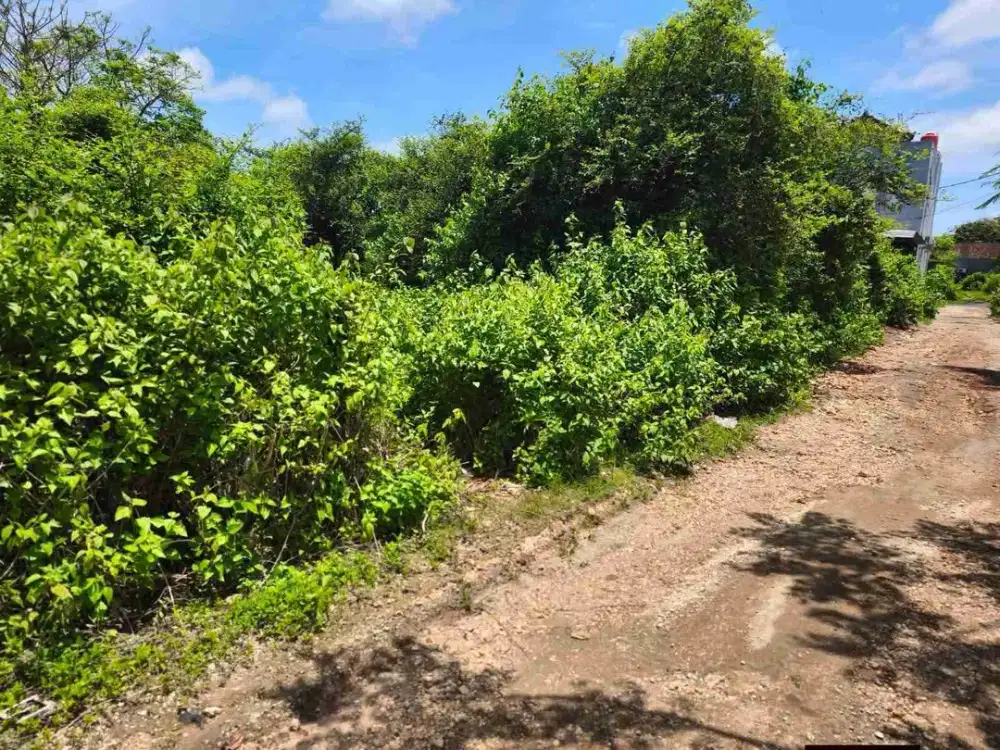 Jual Tanah Kavling Hanya 6 Plot Luas 160m² Lokasi Taman Sakura Jimbaran