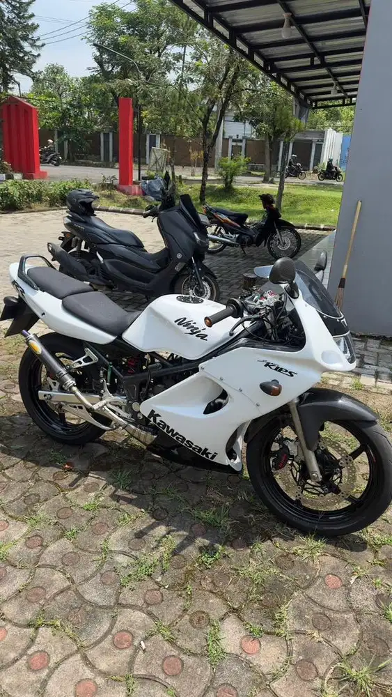 Ninja RR Old 2010 Albino Asli