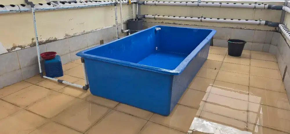 Bak Fiber Kolam renang anak dan kolam ikan