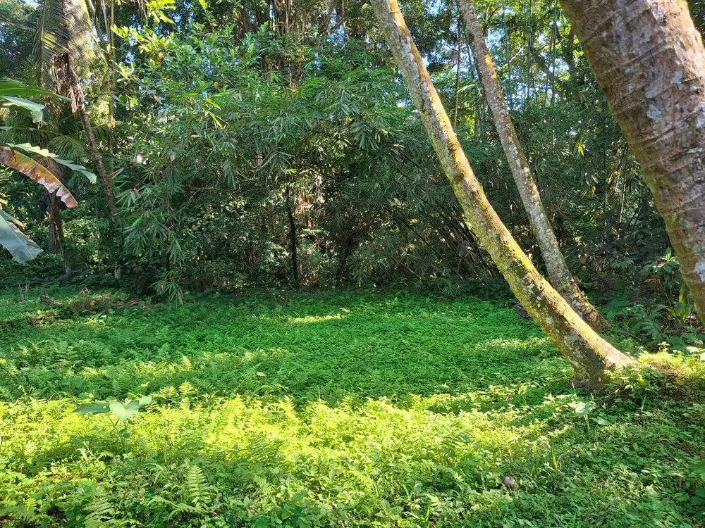 For lease land in ubud