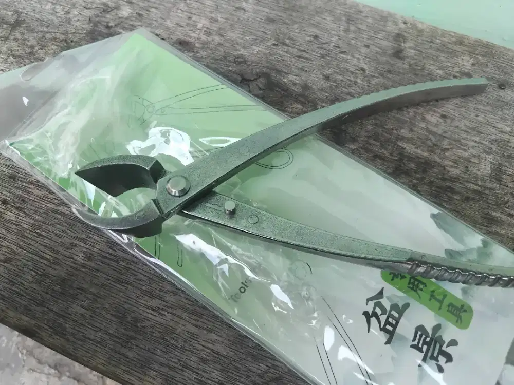 Catok bonsai/ gunting bonsai