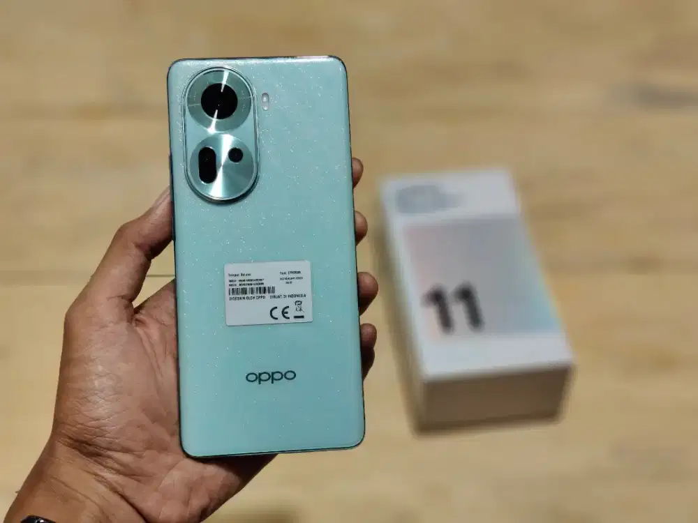 oppo reno 11 5g 8/256 bisa tt