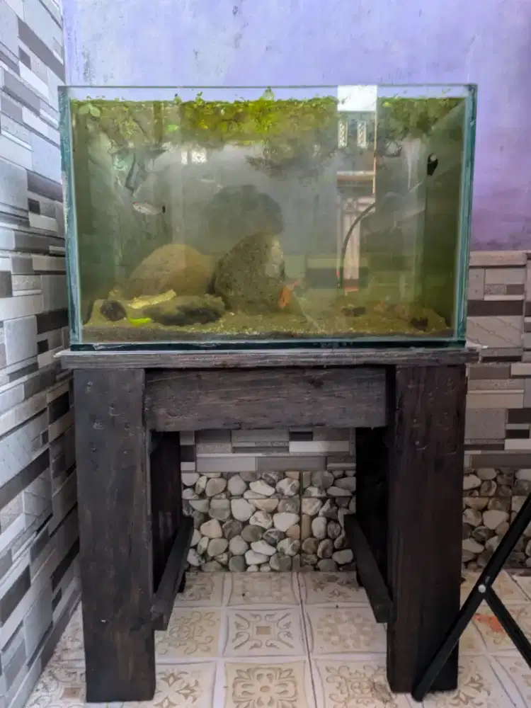 Aquarium Akuarium Ikan Hias