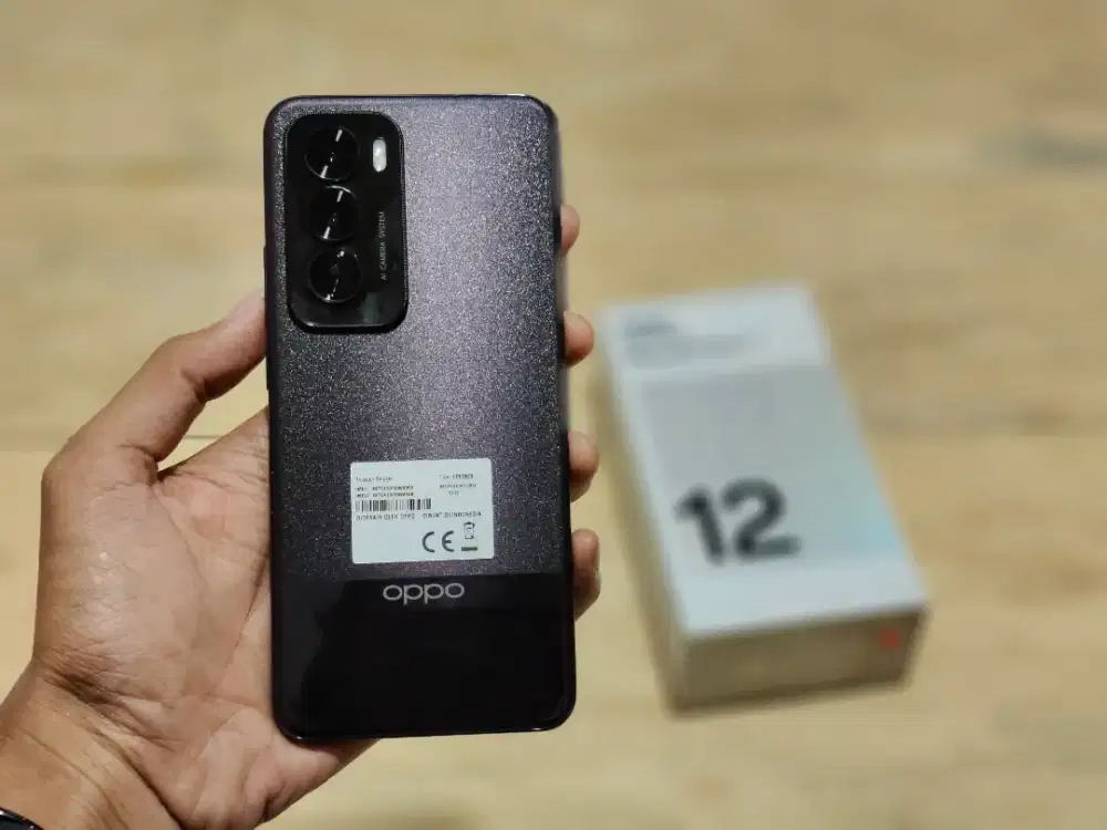 oppo reno 12 pro 5g 12/512 bisa tt