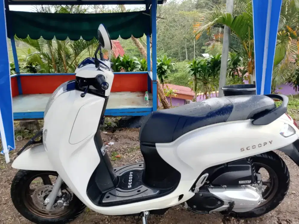 Scupi prestige remot