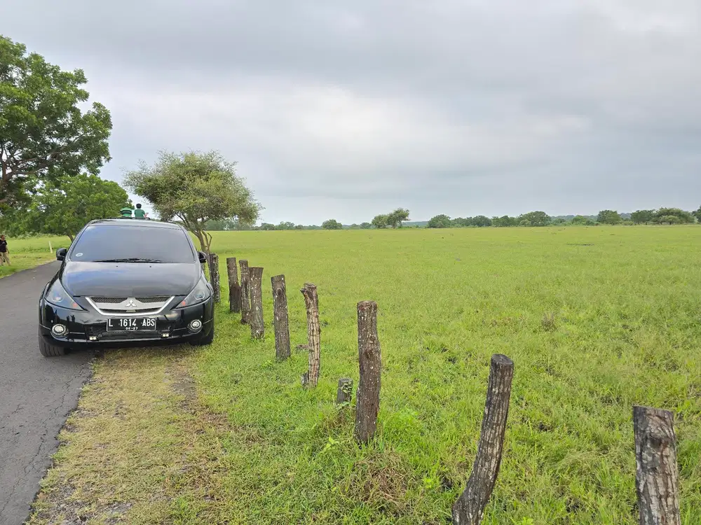 Mitsubishi Grandis 2010 Bensin