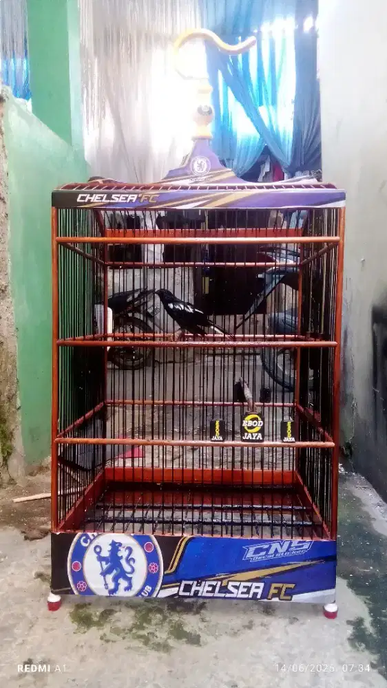 Jual kandang ebot no 2