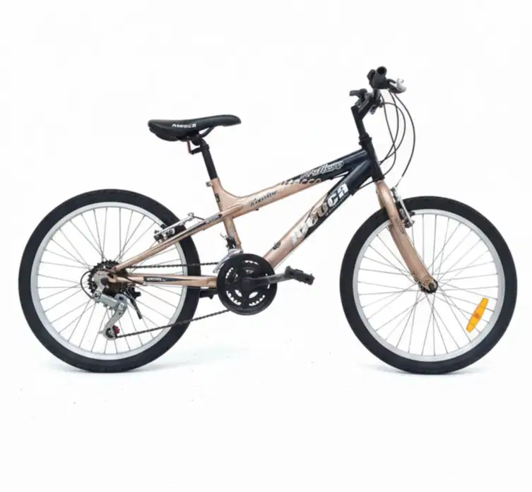 Aleoca BMX MTB Anak – Siap Pakai, Upgrade, Masih bagus