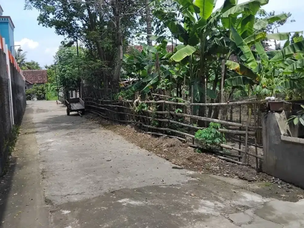 Tanah Pekarangan dekat Candi Prambanan Tamanmartani Kalasan Sleman