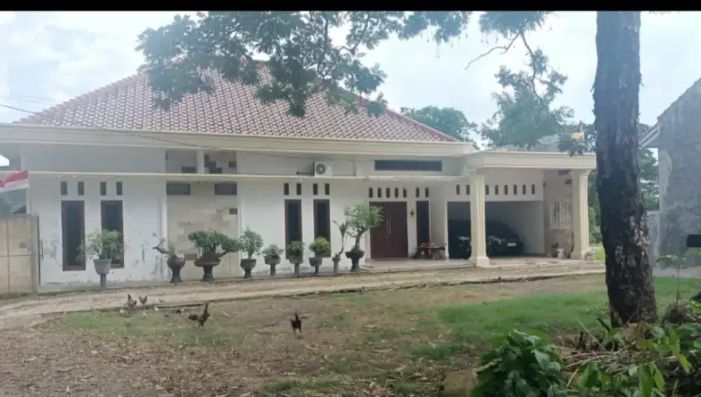 Asiaten rumah tangga