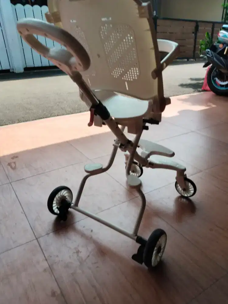 Stoller Putih Exotic