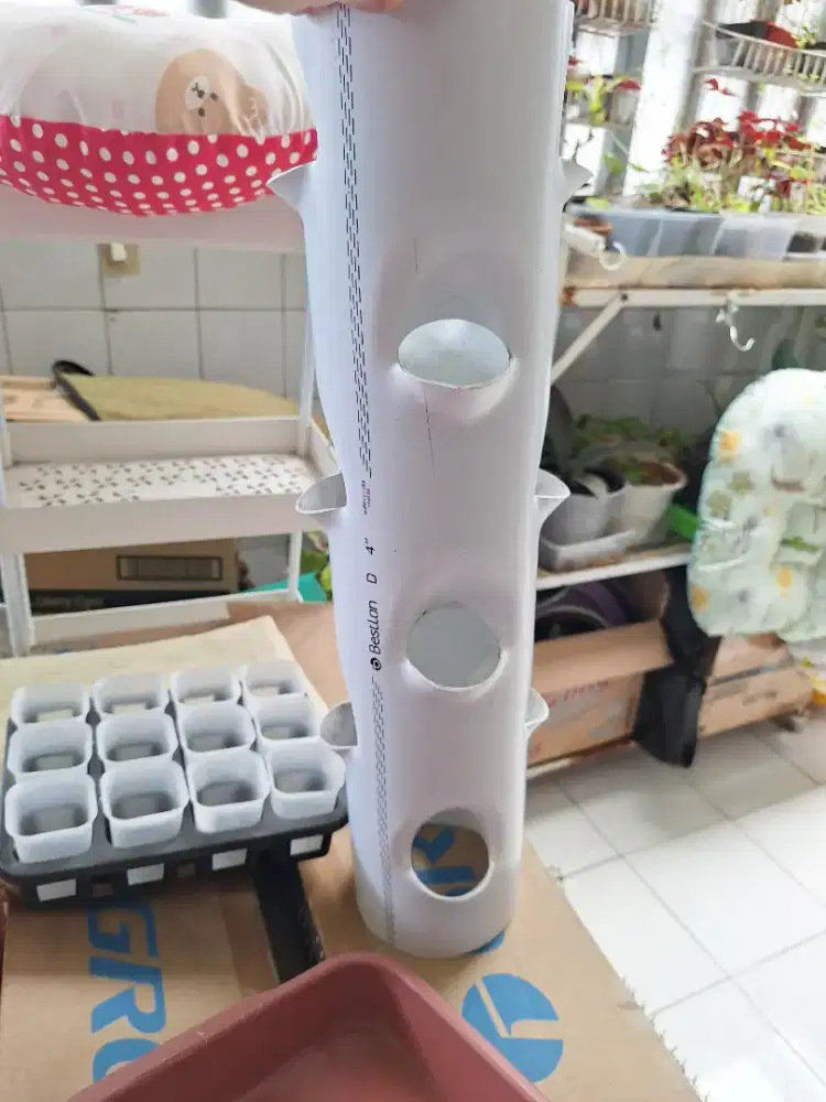 Pot vertical isi 12 lubang