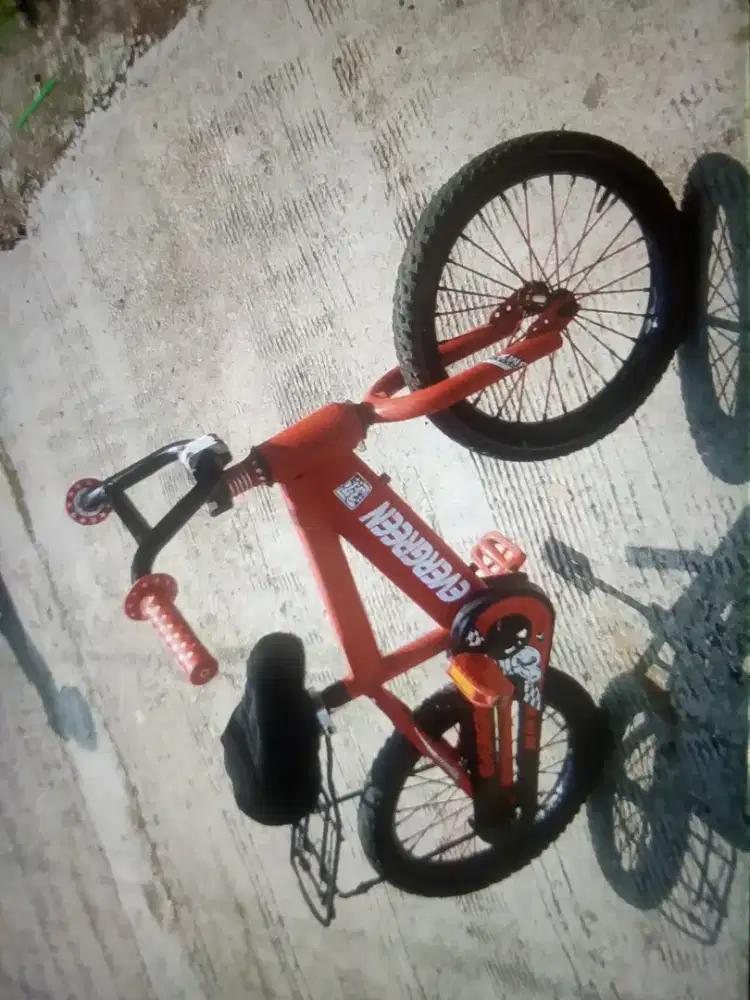 Sepeda anak evergreen