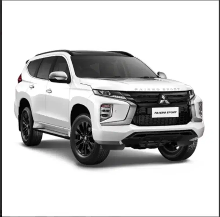 Supir Pribadi (Personal)