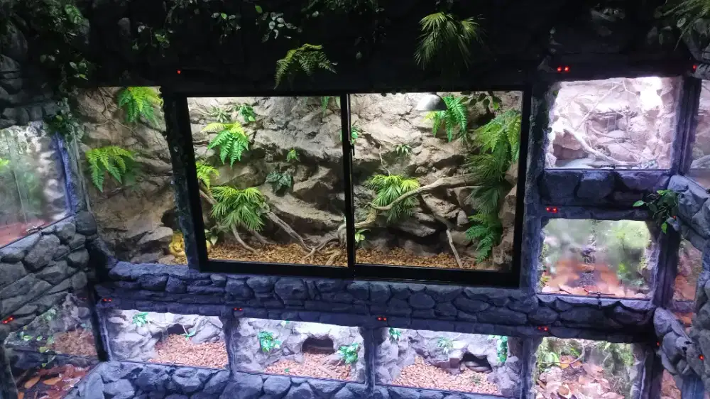 Jasa pembuatan dekorasi kandang reptile / terrarium / vivarium