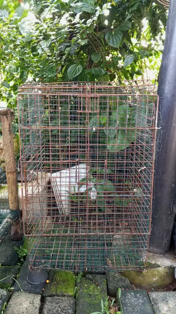 Jual kandang bebek/ayam/kelinci